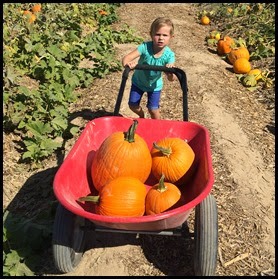 2014-10-23 11.56.19